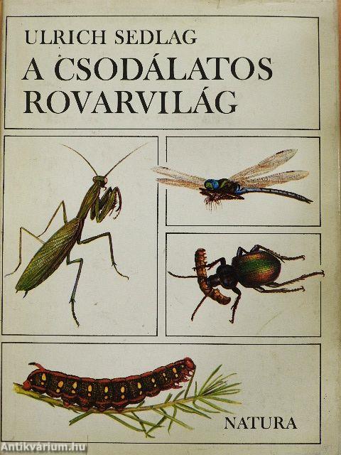 A csodálatos rovarvilág