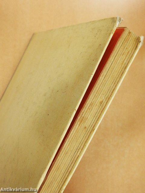 Mackó anyó dajkát keres