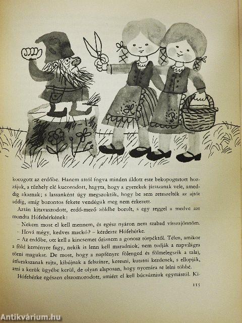 Mackó anyó dajkát keres