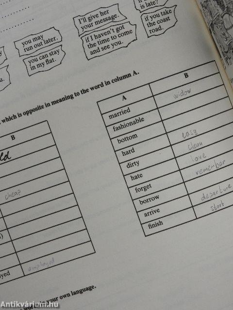 Developing Strategies - Workbook