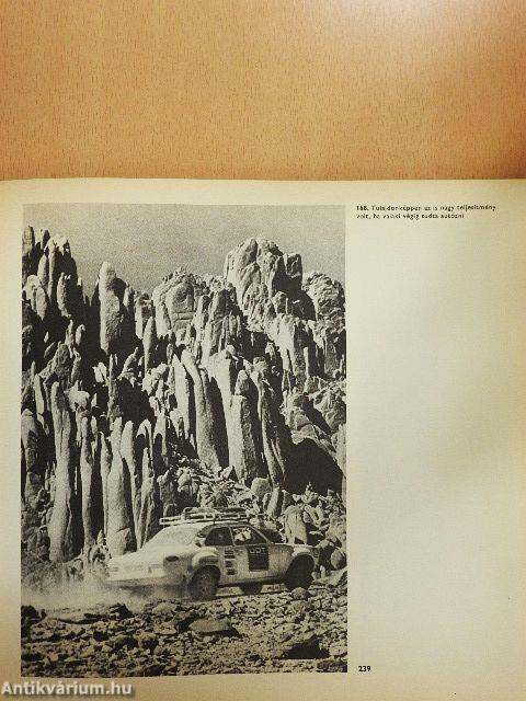 Autóversenyzők, versenyautók