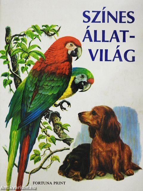 Színes állatvilág