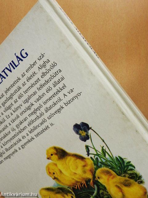 Színes állatvilág