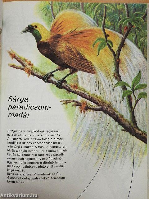 Színes állatvilág