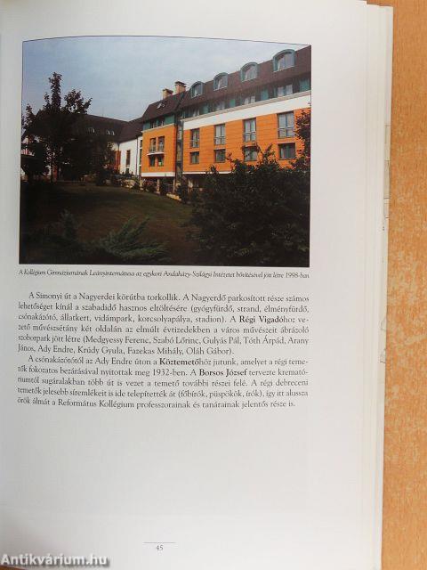 "Egész Magyarországnak és Erdélységnek... világosító lámpása"