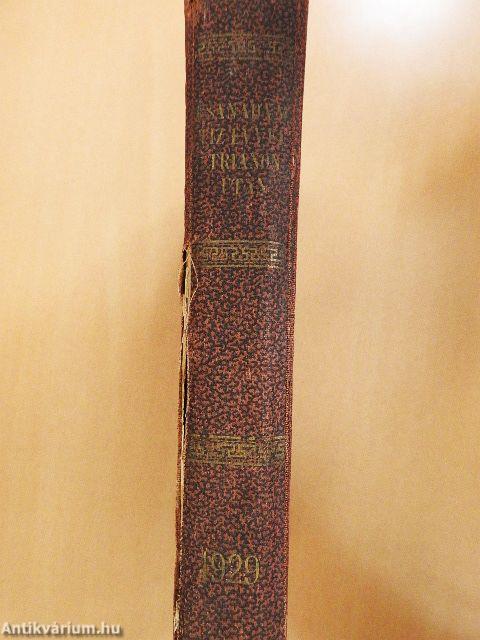 Csanád vármegye tiz évvel Trianon után (rossz állapotú)