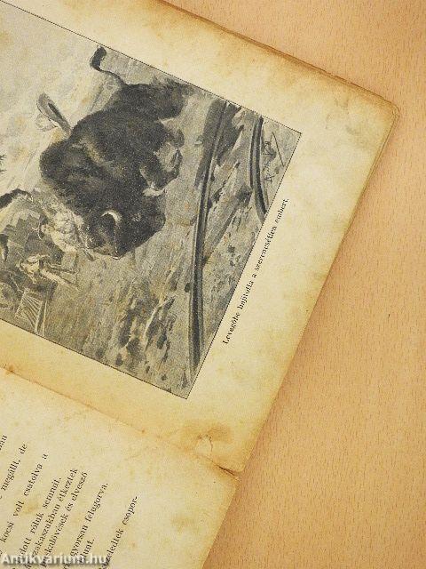 Az aranymezők királynője (rossz állapotú)