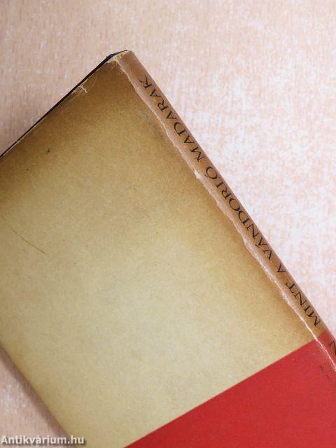 Mint a vándorló madarak