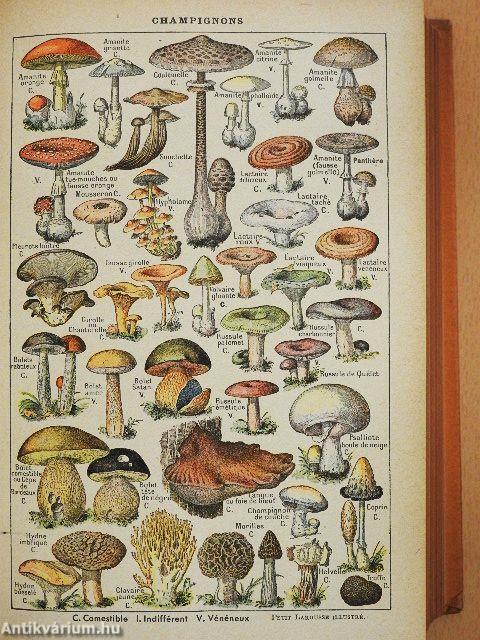 Nouveau petit Larousse illustré