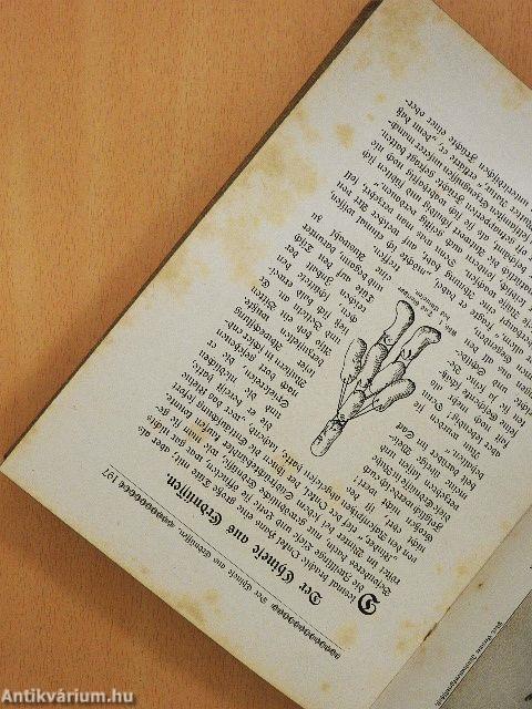 Der Jugendgarten 42. (gótbetűs)