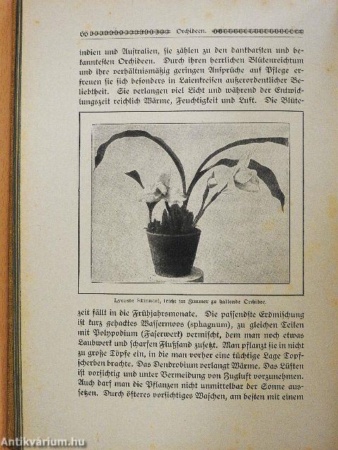 Der Jugendgarten 42. (gótbetűs)