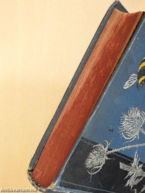 Die wilde Hummel (gótbetűs)