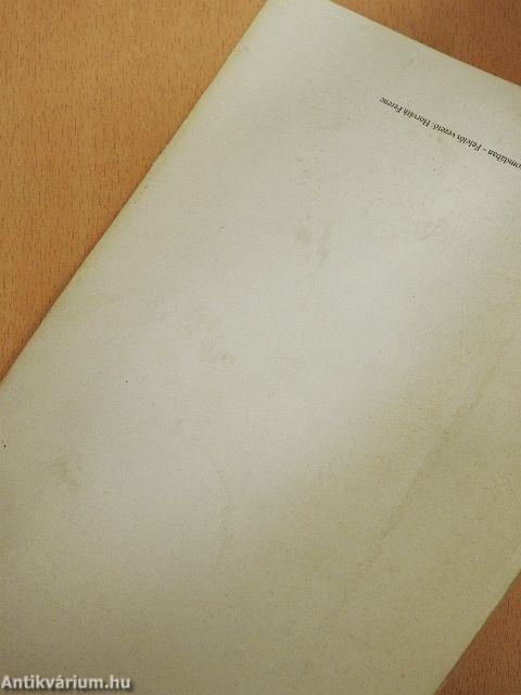 "Szökőkút" - a források befoglalásának sajátos módja Erdélyben