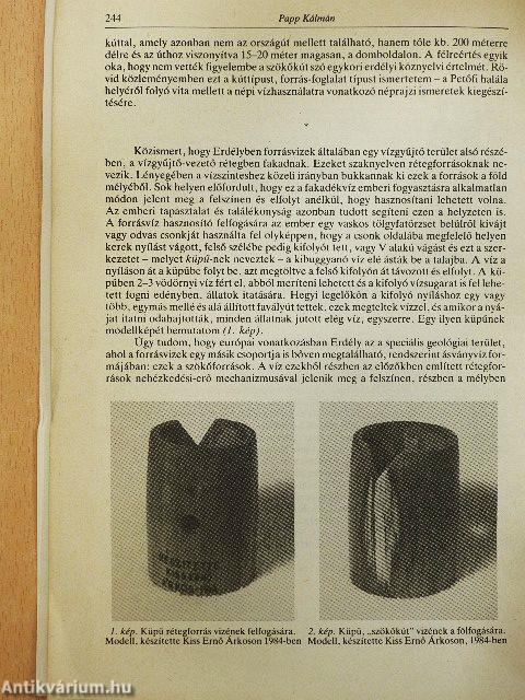 "Szökőkút" - a források befoglalásának sajátos módja Erdélyben