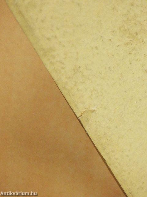 Budapest Bäderstadt