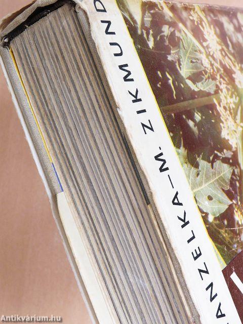 Afrika az álmok világában és a valóságban 1-2.