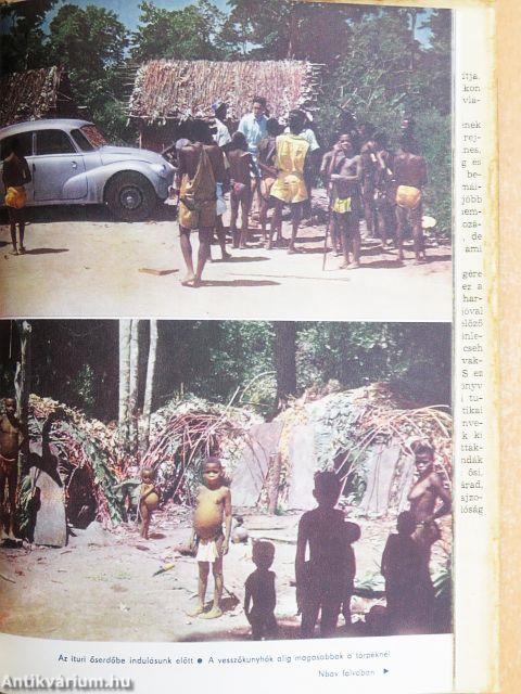Afrika az álmok világában és a valóságban 1-2.