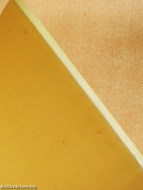 A 100 éves budapesti villamosvasút története