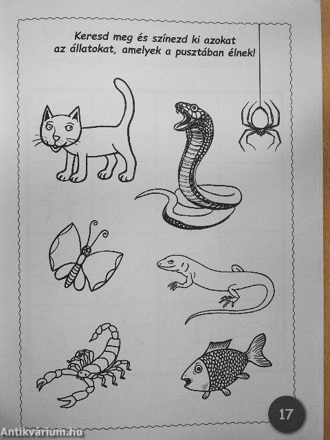 Bibliai történetek 2021/6.