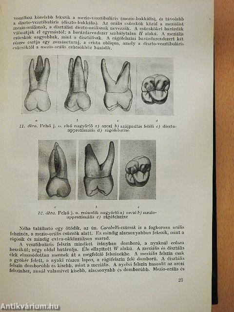 A fogpótlás technológiája