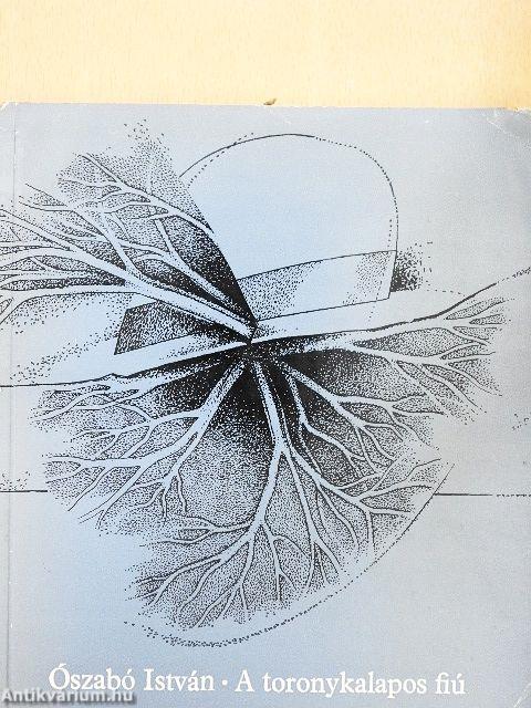 A toronykalapos fiú