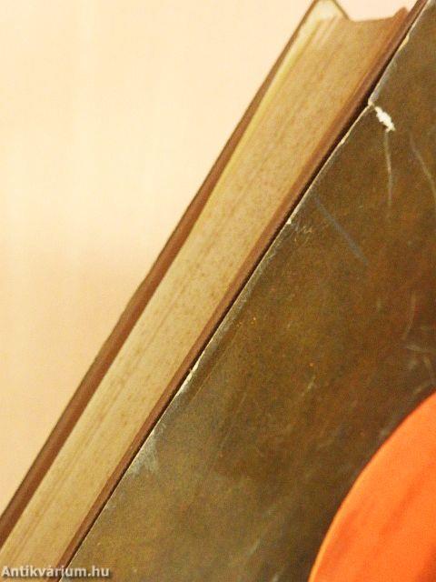 Az ősidők regénye