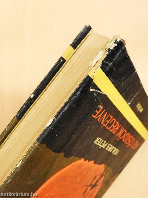 Az ősidők regénye