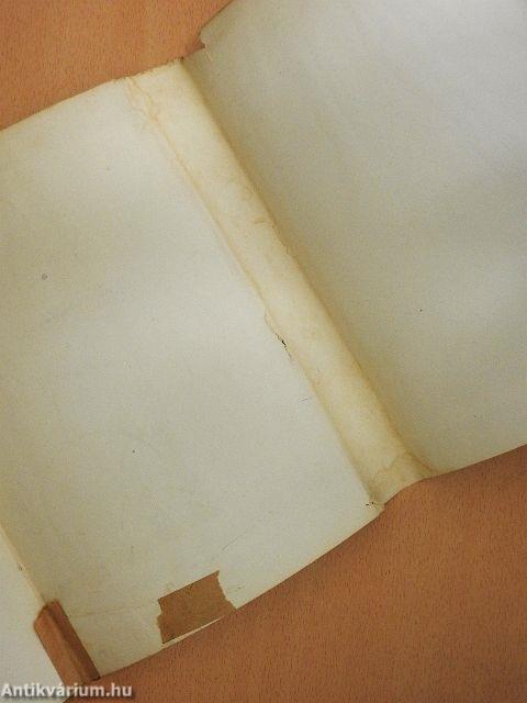 Az ősidők regénye