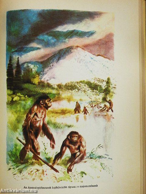 Az ősidők regénye