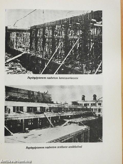 A Papíripari Vállalat Fűzfői Papírgyárának története 1928-1978