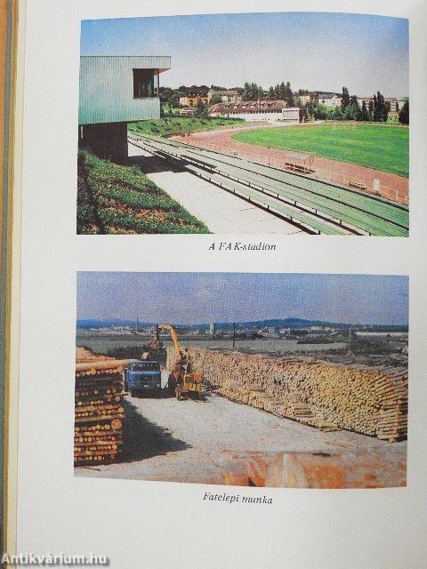 A Papíripari Vállalat Fűzfői Papírgyárának története 1928-1978