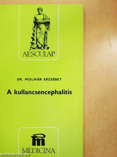 A kullancsencephalitis