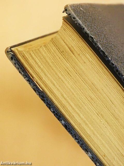 Gróf Széchenyi István regénye és éjszakája