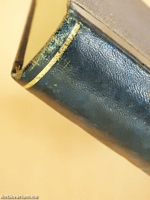 Gróf Széchenyi István regénye és éjszakája