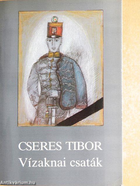 Vízaknai csaták