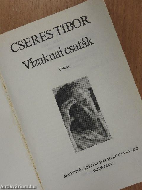 Vízaknai csaták