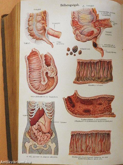Az új természetes gyógymód I-II. (rossz állapotú)