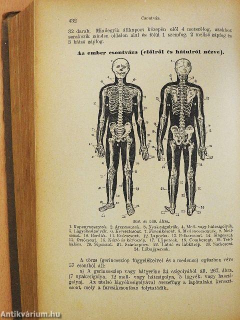 Az új természetes gyógymód I-II. (rossz állapotú)