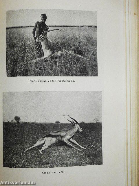 Vadász- és gyüjtőúton Kelet-Afrikában (rossz állapotú)