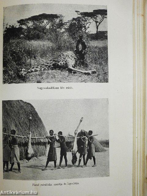 Vadász- és gyüjtőúton Kelet-Afrikában (rossz állapotú)