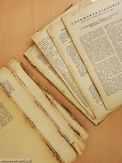 A jó házi konyha (rossz állapotú)