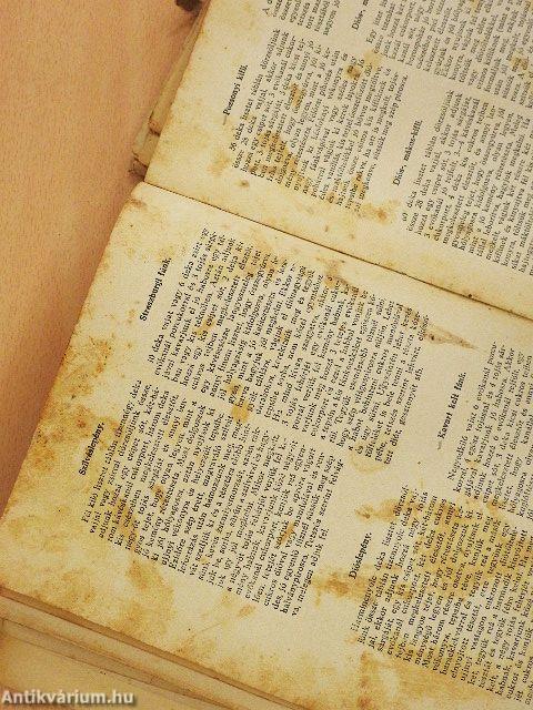 A jó házi konyha (rossz állapotú)