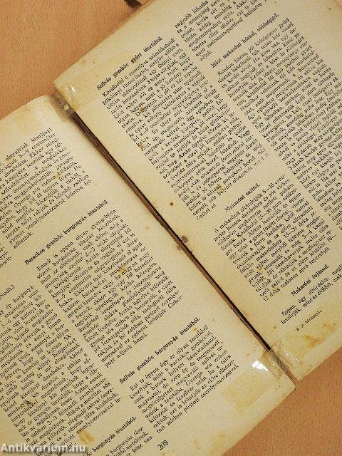 A jó házi konyha (rossz állapotú)