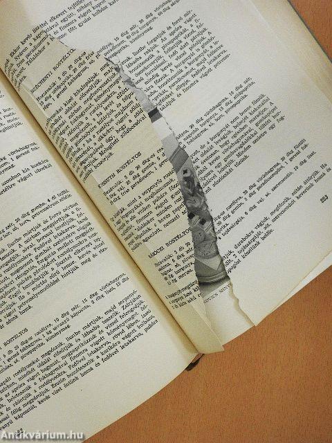 Konyhaművészet (rossz állapotú)