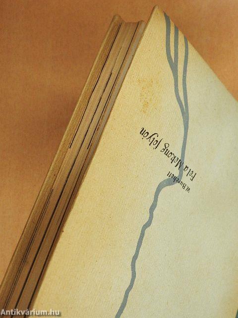 Fel a Mekong folyón