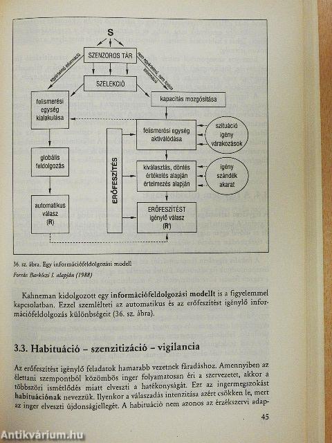 Az általános és személyiséglélektan alapjai