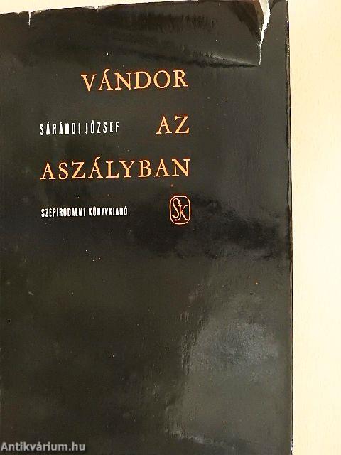 Vándor az aszályban