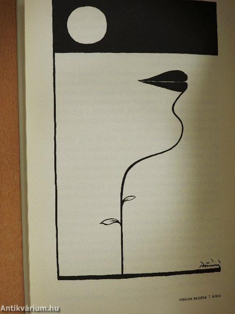 Zsivajgó természet