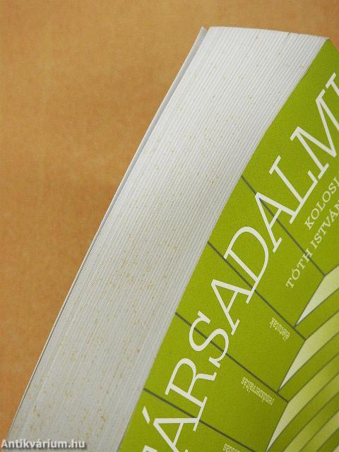Társadalmi riport 2008