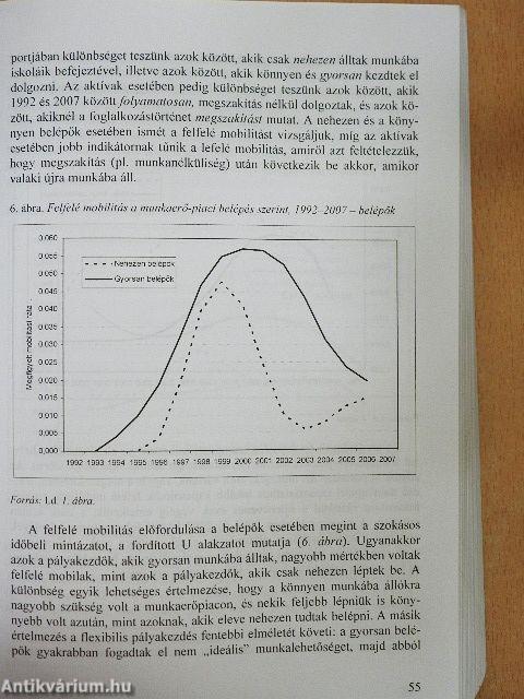 Társadalmi riport 2008